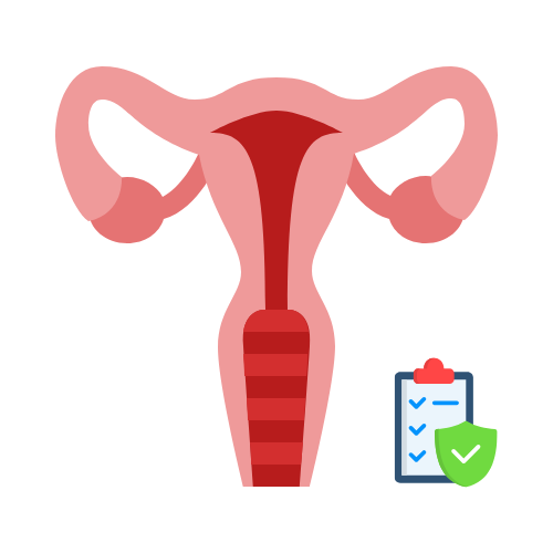 Image of Uterus