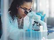 Pathology of Disease Course Image Pathology of Disease Course Image